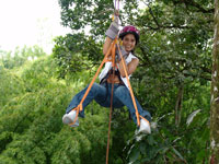 Canopy Caracolies